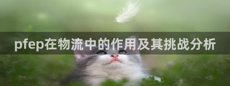 旺財28模擬器下載：pfep在物流中的作用及其挑戰分析